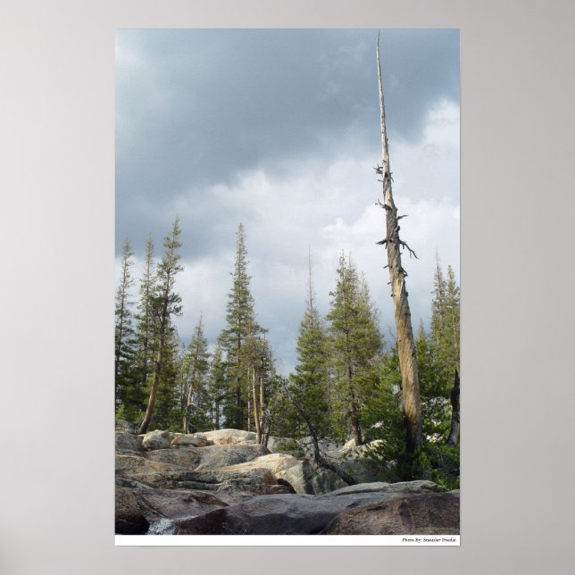 Poster Storm Spire (Frente)