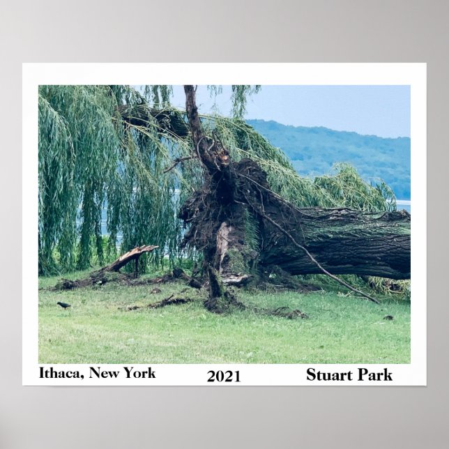POSTER STORM STUART PARK 2021 (Frente)