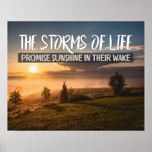 Poster Storms Of Life