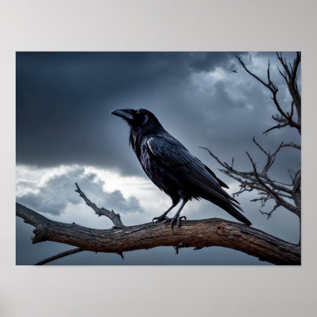 Poster Stormy Night Raven com cobertura geométrica (Frente)