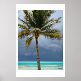 Poster Stormy Paradise