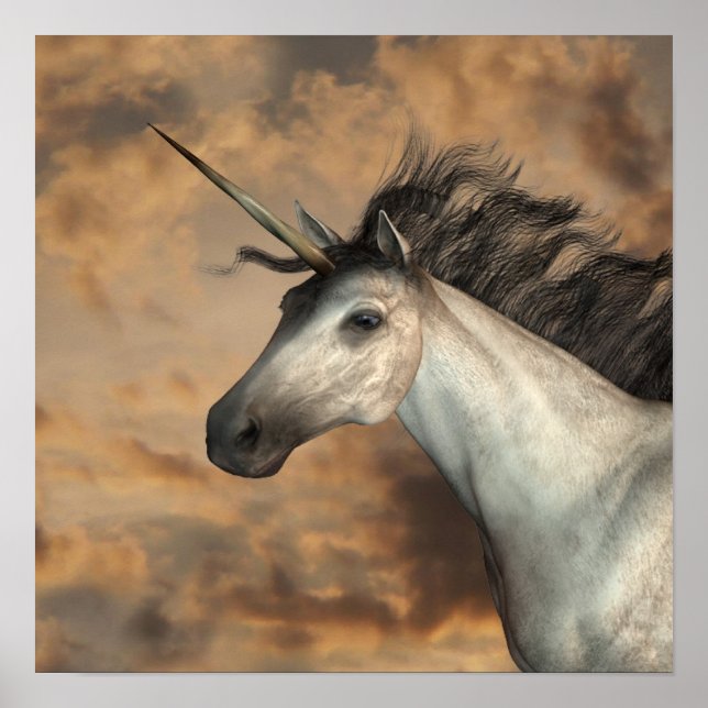 Póster Stormy Unicorn (Frente)