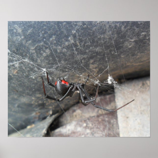 Póster Strands Silken (Frente)