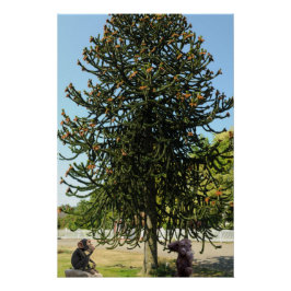 Póster Strange enough to puzzle a monkey.