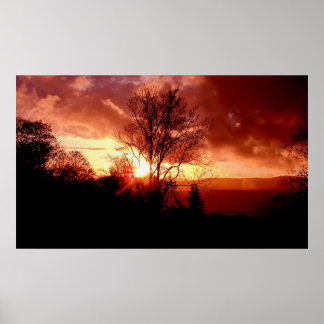 Póster Strawberry Sunrise