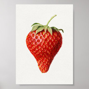 Poster Strawberry Vintage Art