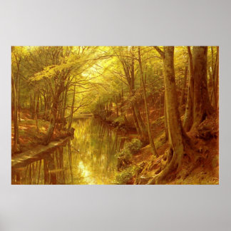 Poster Stream da Floresta