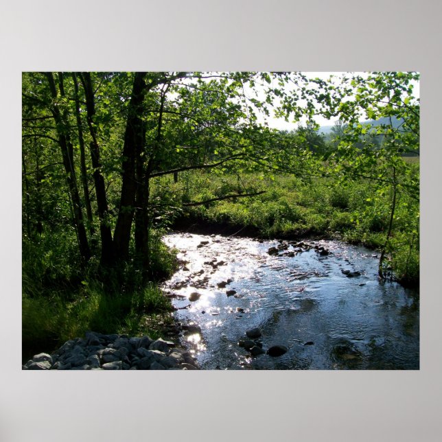 Póster Stream in Cades Cove (Frente)