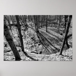 Póster Stream in Highbanks Metropark (preto/branco)