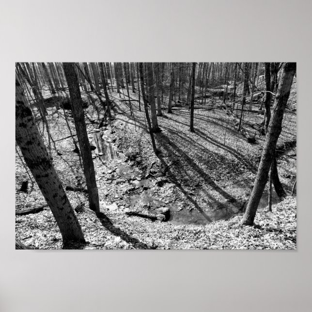 Póster Stream in Highbanks Metropark (preto/branco) (Frente)