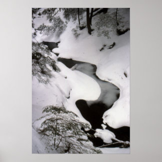 Póster Stream no inverno
