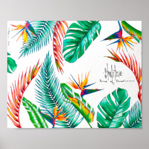 Poster Strelitzia - Pássaro Do Paraíso
