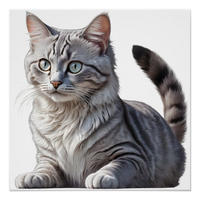 Póster Striking Gray Tabby Cat with Green Eyes (Frente)