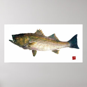 Póster Striped Bass Gyotauku