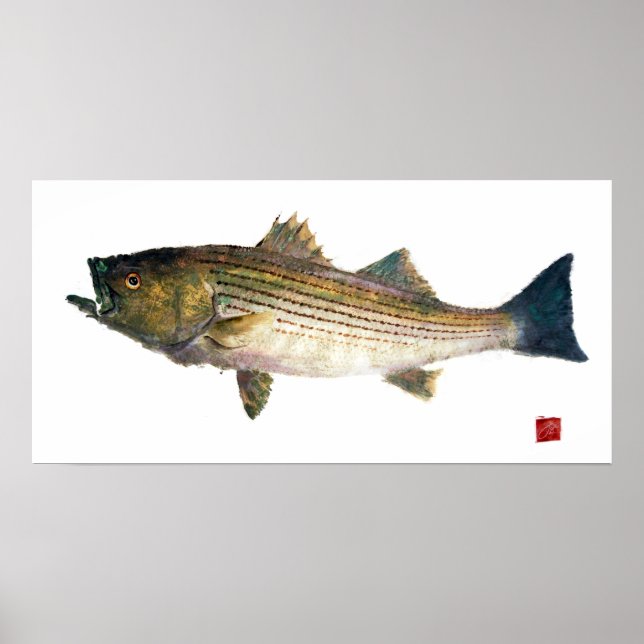 Póster Striped Bass Gyotauku (Frente)