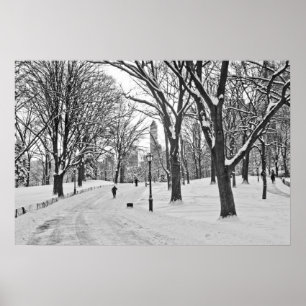 Poster Stroll da neve no Central Park