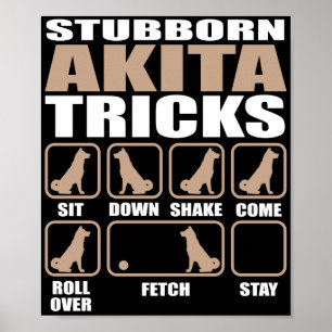 Poster Stubborn Akita Tricks design