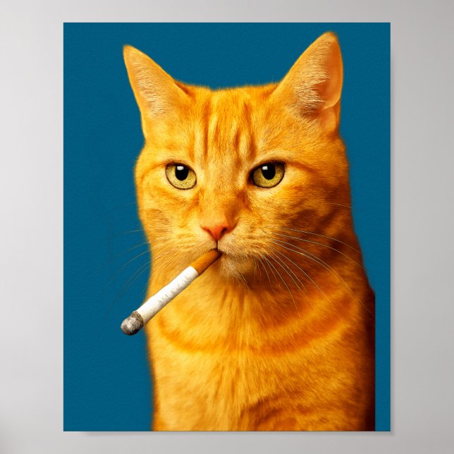 Poster Stud Cool Funny Cat Meme Smoking Cat Cigarette  (Frente)