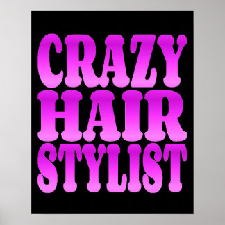 Póster Stylist para o cabelo louco