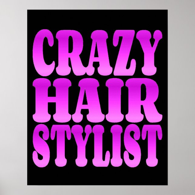 Póster Stylist para o cabelo louco (Frente)