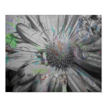 "Sua Flor Diária" pôster 8 x 10 ou download