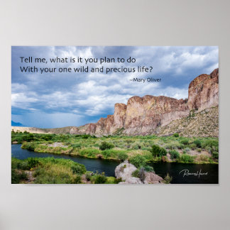 Poster Sua Vida Útil e Precioso