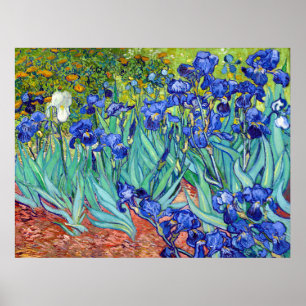 Poster Subidas de Vincent Van Gogh, flor de pintura vibra