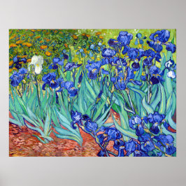 Poster Subidas de Vincent Van Gogh, uma flor de pintura v