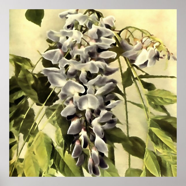 Poster Subindo Windblown Wisteria Vine Acrylic Painting (Frente)