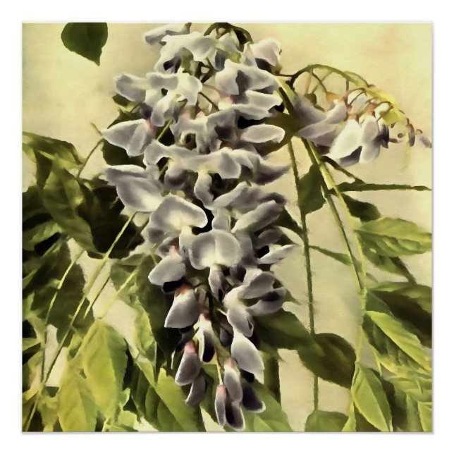 Póster Subindo Windblown Wisteria Vine Acrylic Painting (Frente)
