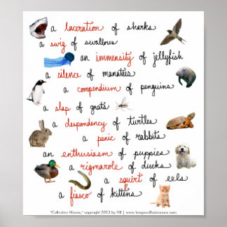 Póster Substantivos Coletivos: cartazes