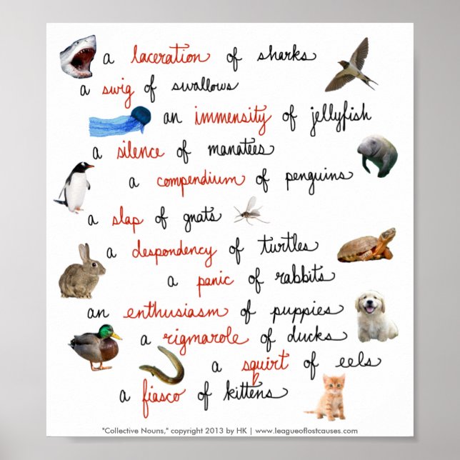 Póster Substantivos Coletivos: cartazes (Frente)
