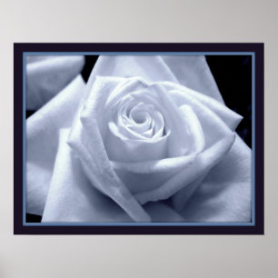 Póster Subtle Blues