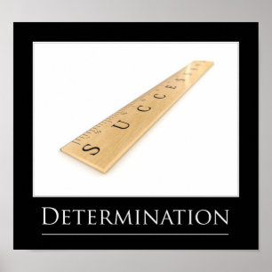 Póster Sucesso de medição