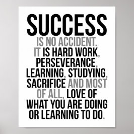 Poster Sucesso Não É Acidente