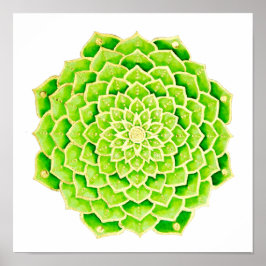Poster Suculente Verde Deixa Dourado Mandala