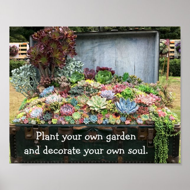 Poster Sucultivos no tesouro (Frente)