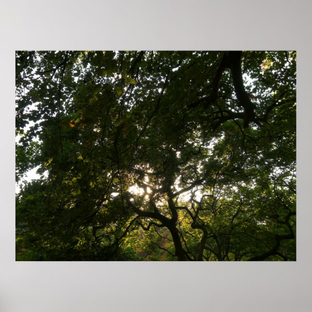 Póster Sucursais japonesas IV (Frente)