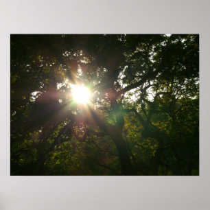 Póster Sucursais Japonesas VII