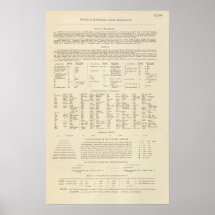 Poster Suecia de 6364 legendas, Noruega