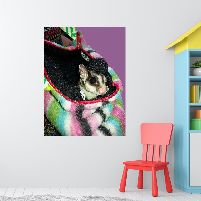 Poster Sugar Glider Usando um Chapéu (Berçário 1)