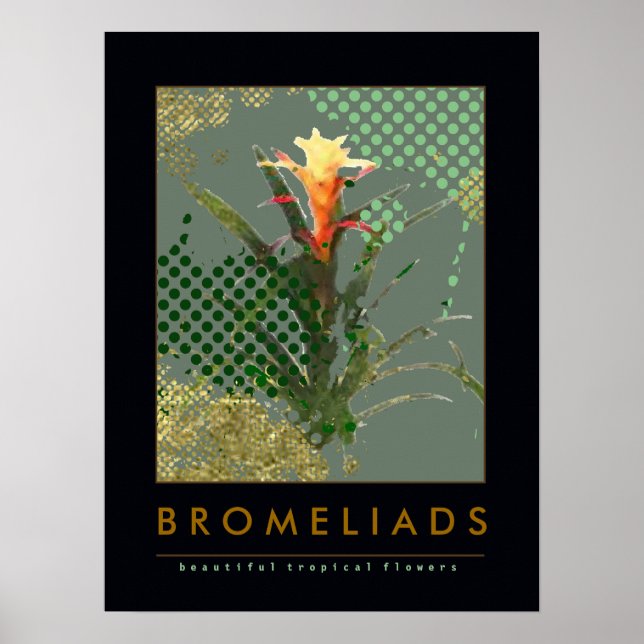 Poster sugestão de decoração de bromélias (Frente)