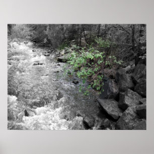 Póster Sugestão do verde