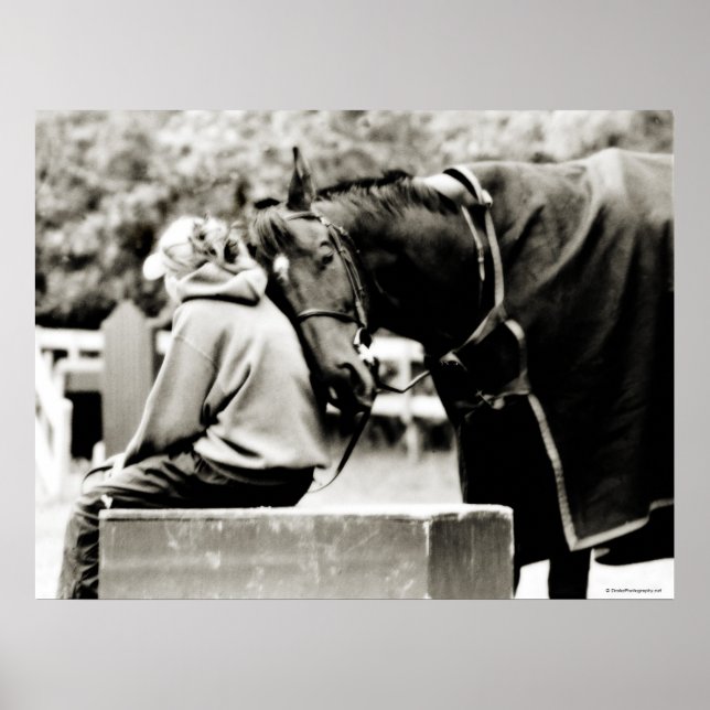 Poster Sugestões do Cavalo (Frente)