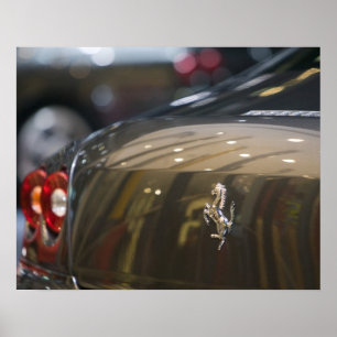 Póster SUÍÇA, GENEBRA: 75º Salão Automóvel Anual de Geneb