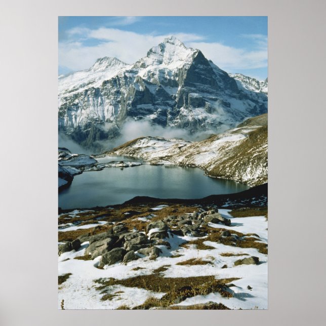 Póster Suiça, Grindelwald, Alpes Berneses, Vista (Frente)
