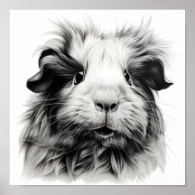 Suíno Monocromático Guiné