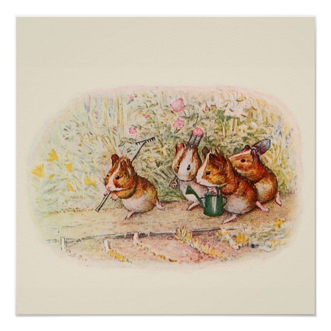 Póster Suínos guineenses e ferramentas para jardim (Frente)