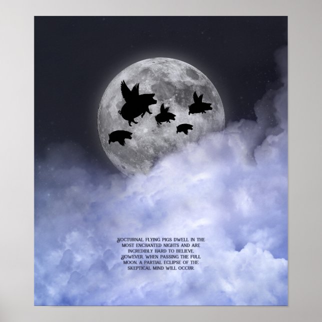 Poster Suínos voadores nocturnos (Frente)