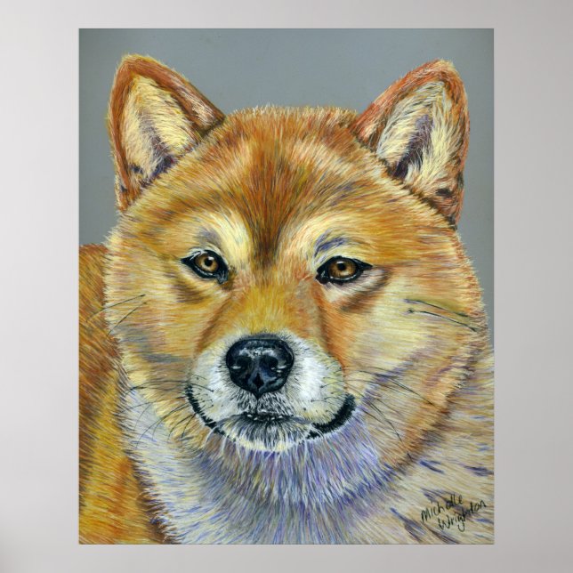 Poster Suki - Shiba Inu (Frente)